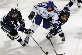 半岛体育注册网址 -哈兰德赛事官方发布精彩发挥新规，西班牙队争议不断！